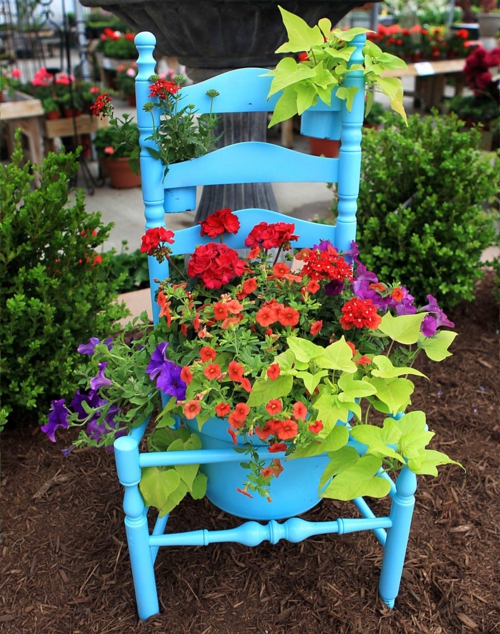 Gamle stoler i hagen med ny funksjon blå attraktive planter