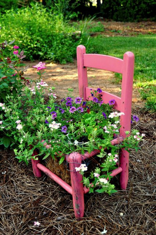 כיסאות ישנים בגינה עם תכונה חדשה עץ קטן נטיעות אטרקטיביות