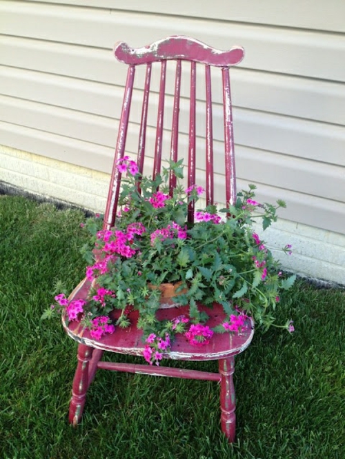 Gamle stoler i hagen med ny funksjon rosa tre attraktive planter