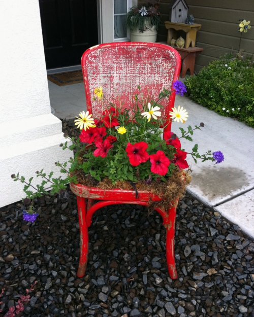 Old chairs in the garden with new feature red flowers yellow attractive planters