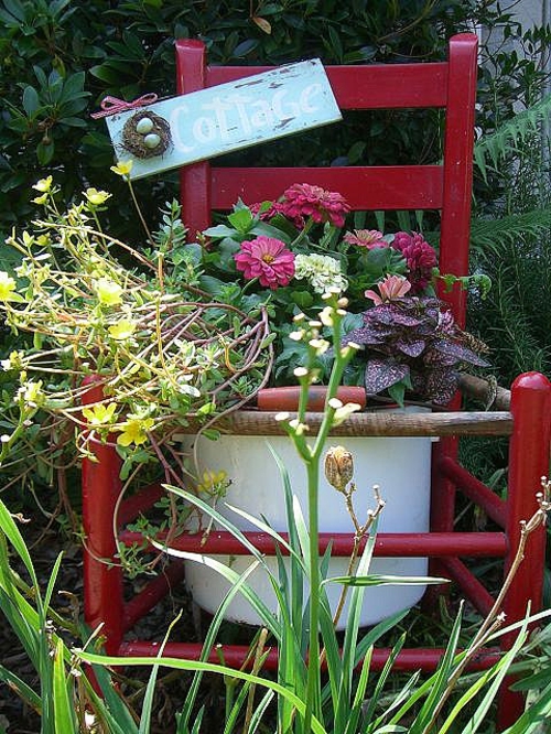 Gamle stoler i hagen med ny funksjon, røde, attraktive planter
