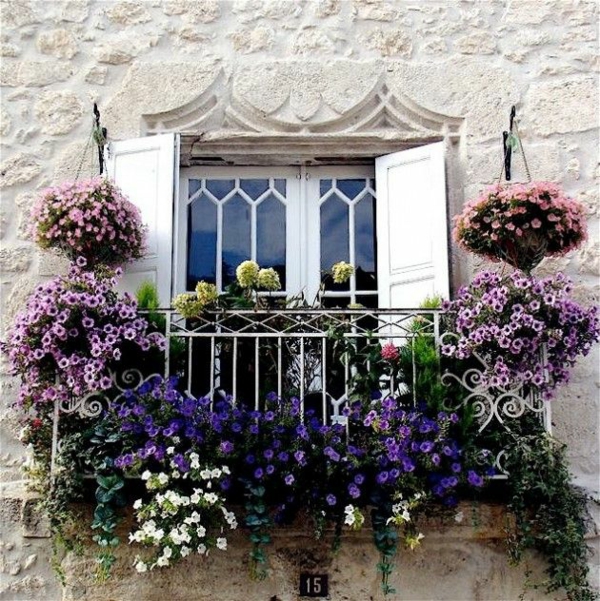 Μπαλκόνι φύτευση γαλλική ιδέες στυλ μοβ λουλούδια