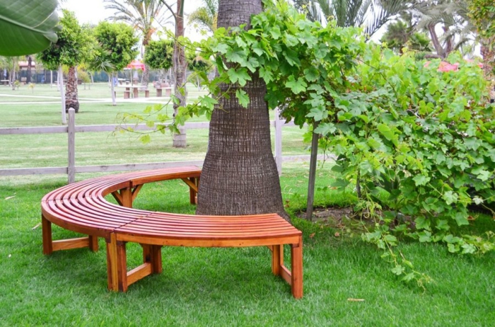 Tree bench semicircle