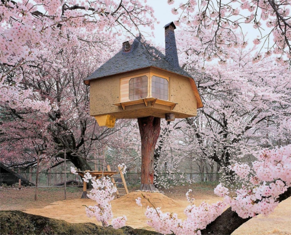 World designs forår træer huse rosa blomster