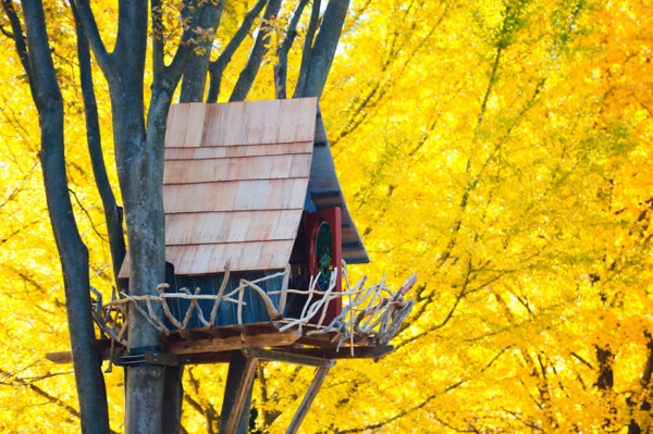 Tree houses of the world designs yellow flowers