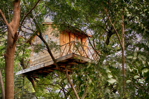 Tree houses of the world designs small useful