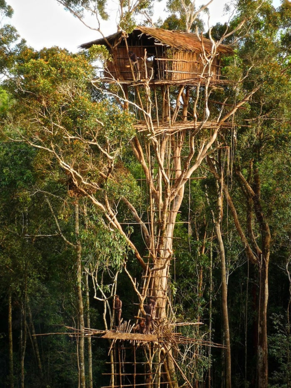 Tree houses world designs simple structure