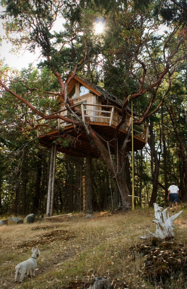 Τα σπίτια των δέντρων στον κόσμο σχεδιάζουν την παραδοσιακή σκάλα σχοινιών