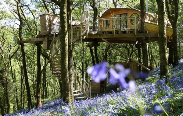 World designs tree houses forest tree