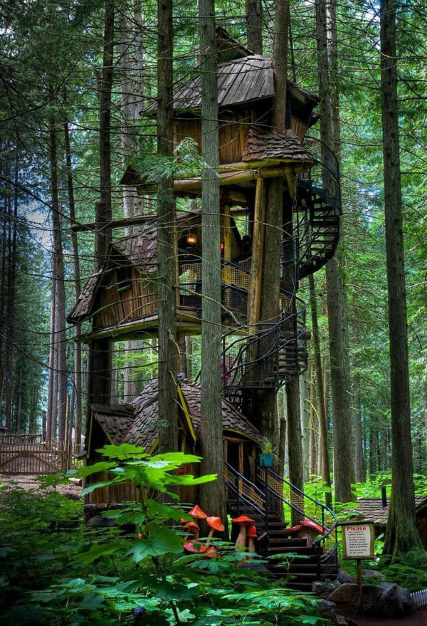 Дървени къщи на света проектират горски зелени