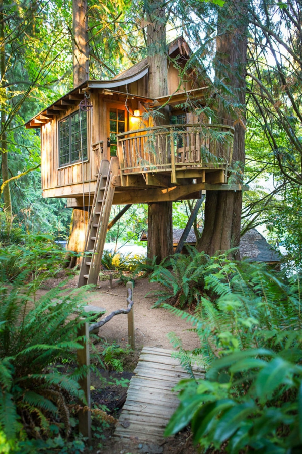 design skov træ huse verden magiske hus