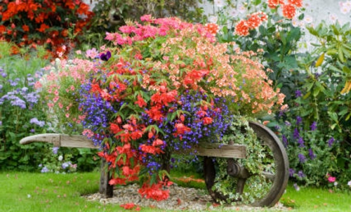 De koele tuindecoratie bloeit kleurrijke schitterende houten rad