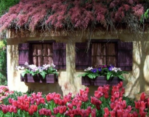 Градински декор на лалета розов покрив къща