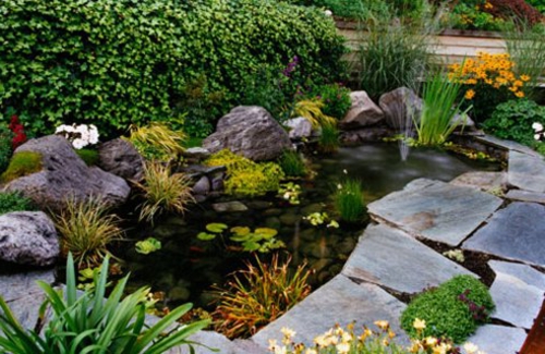 фенери градина декорация водни растения камъни водни лилии