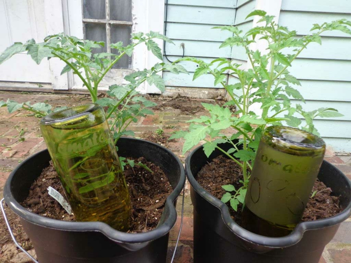 DIY-ideeën met glazen flessen die tuinideeën maken