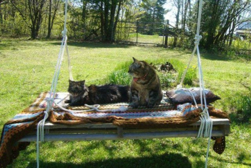 DIY swing fuera de europallets almohadillas gatos mascotas