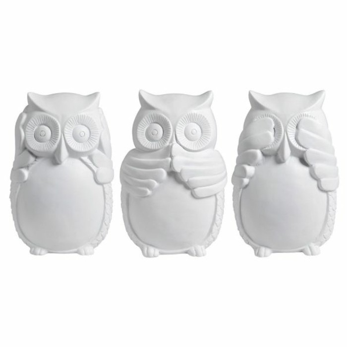 Decorative Owls Accessories Decoration Owls Pictures Study