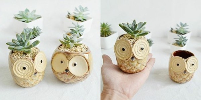 Decorative owls Accessories Decoration Owls Succulent plant pot