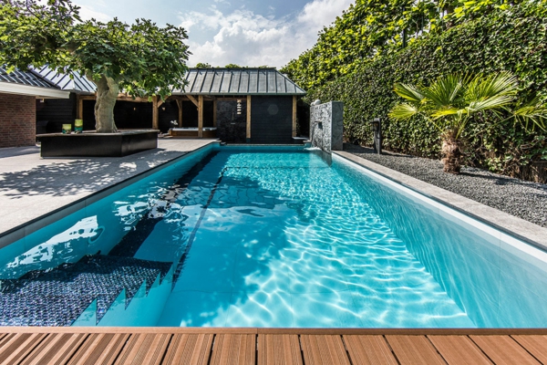 photos de jardin piscine palmiers exotiques