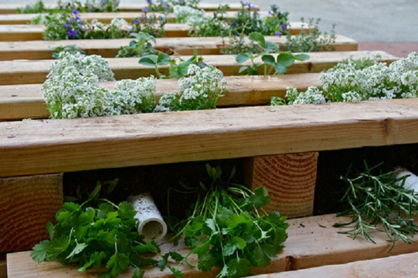 in the garden at home use flowers wooden pallets