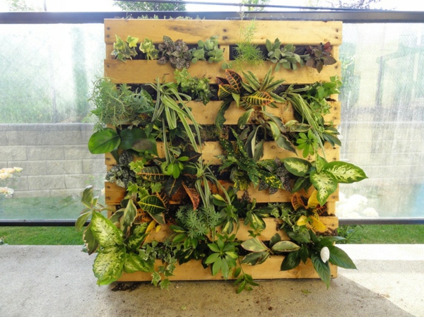 Euro pallets in the garden and at home use vertical plant species