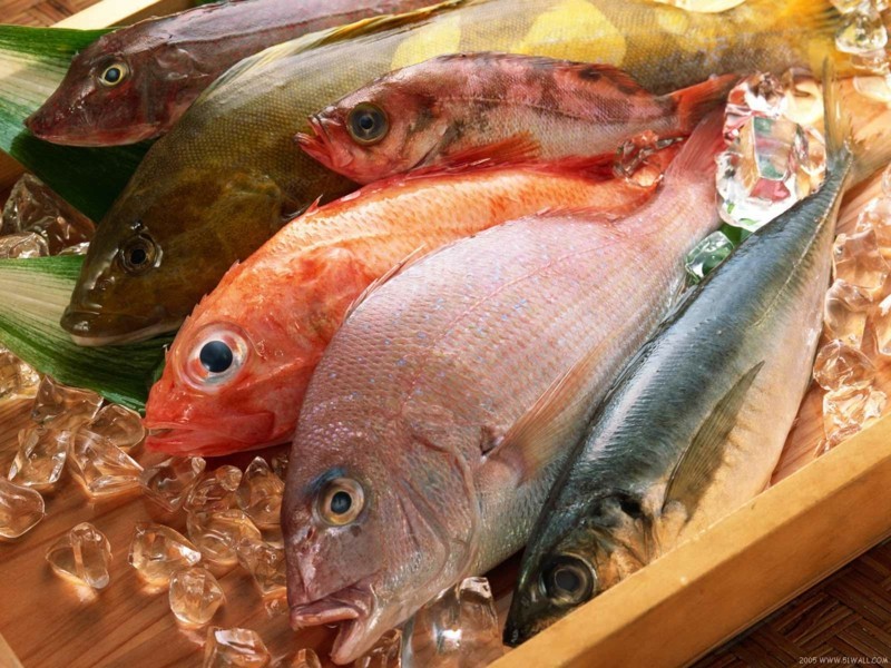 حمية السمك أنواع مختلفة من الطعام الصحي
