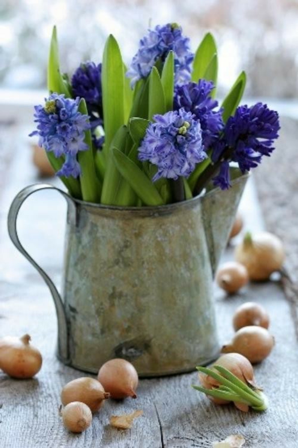 За пролетно-калайджия-красива градина-идеи-за-си-сам-метална ваза