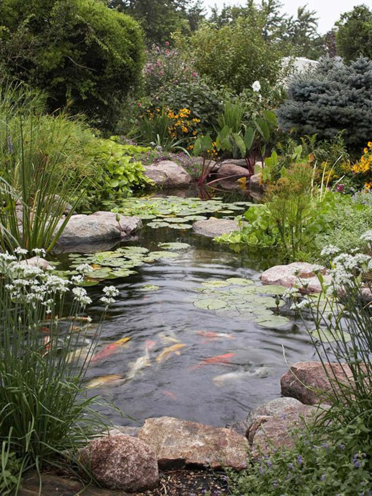 Photos d'étang de jardin Idées de jardin japonais Étang de Koi