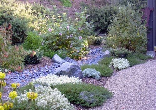 виолетово камъче градина дизайн боядисани с камъчета