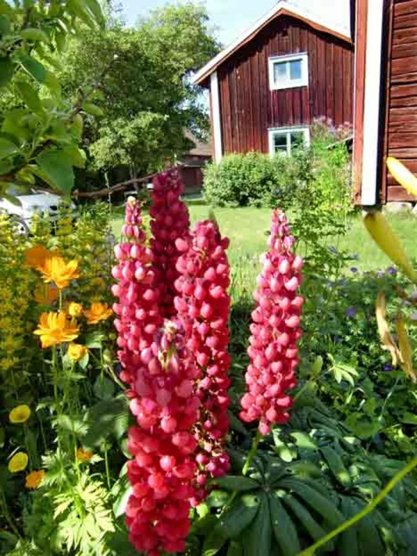 Havehus i Sveriges stil plantearter