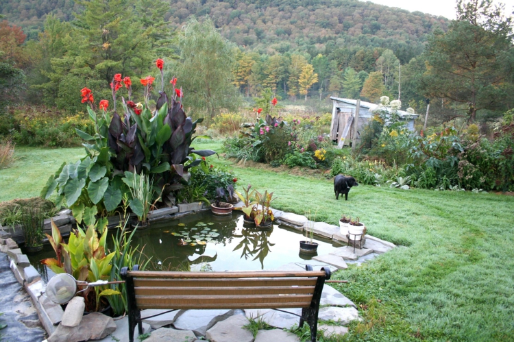 Bassin de jardin Photos Idées de jardin Plantes de jardin Banc en bois