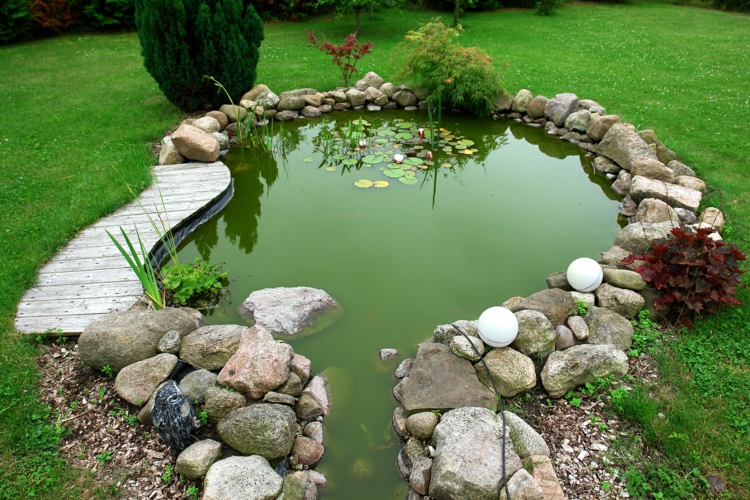 Jardin étang images Japonais idées de jardin plantes aquatiques étang