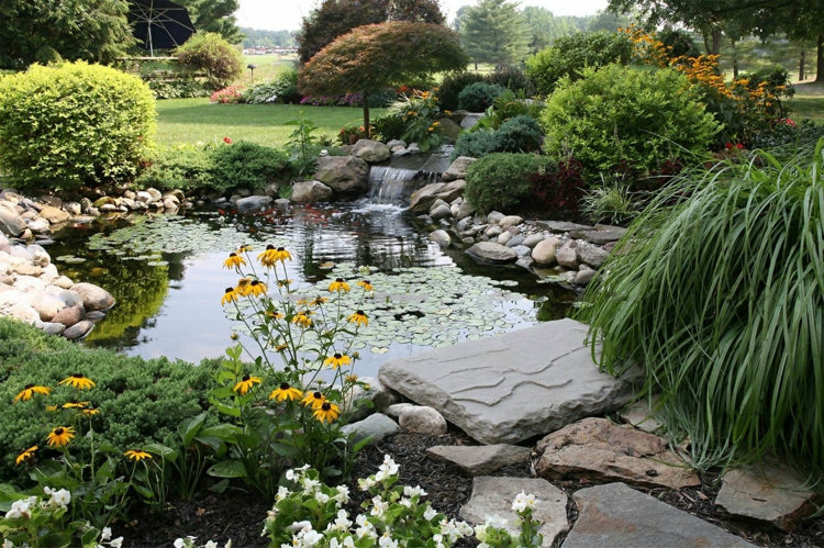 Jardin étang images jardin créatif aménagement paysager plantes aquatiques étang pelouse