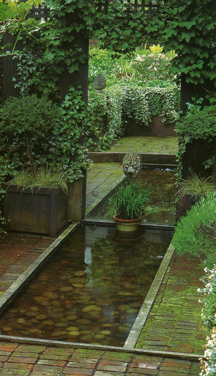 Jardin étang images jardin créatif idées cour intérieure lierre plantes grimpantes