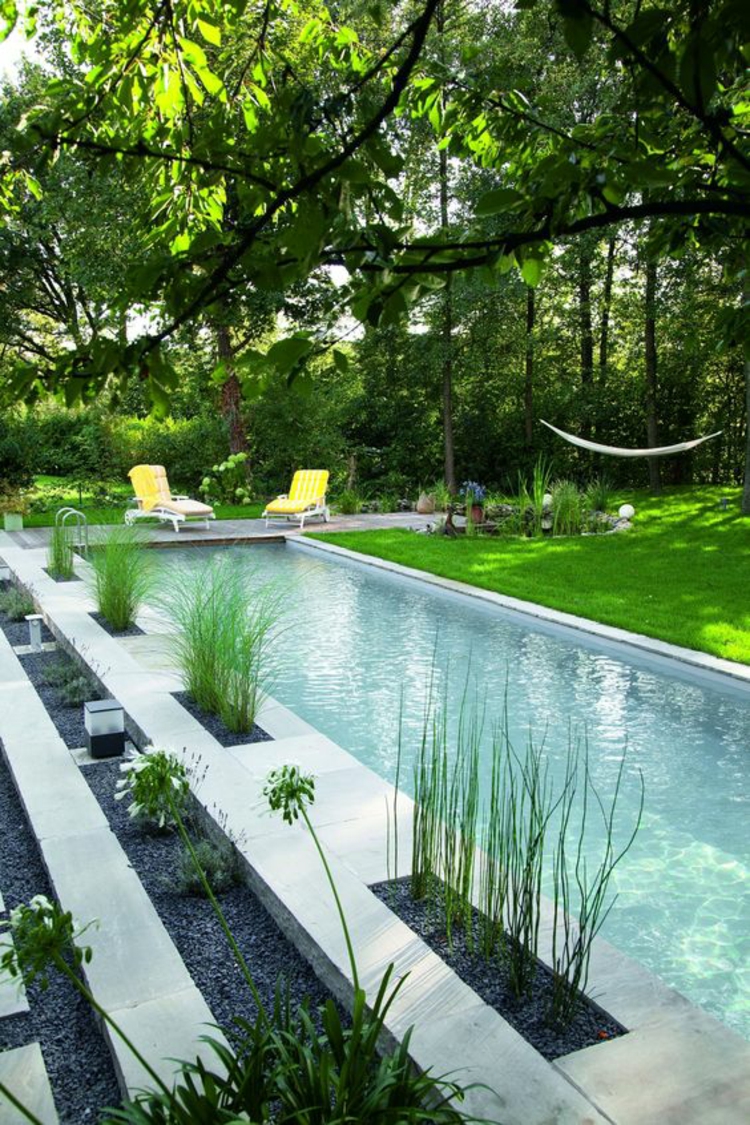 Jardin étangs moderne jardin design étang plantes de jardin