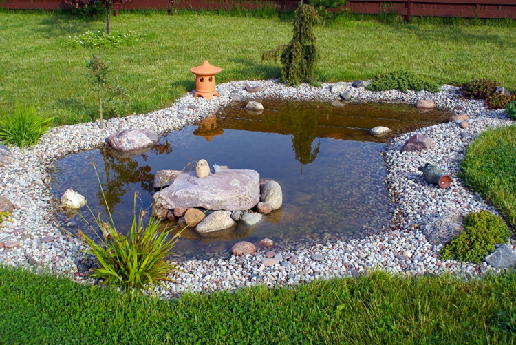 Les étangs de jardin d'eau et de pierres des idées de jardinage avec du gravier