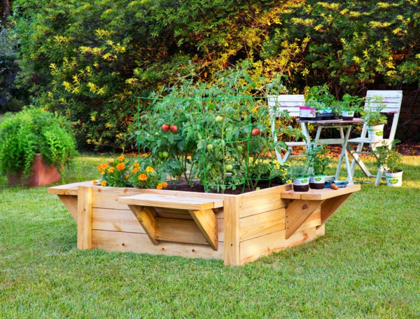 Φυτικά Hochbeet τον εαυτό σας αυθεντικό πάγκο κήπο gras λαχανικών