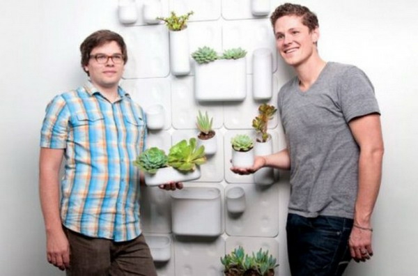 Green plants images design design modular system
