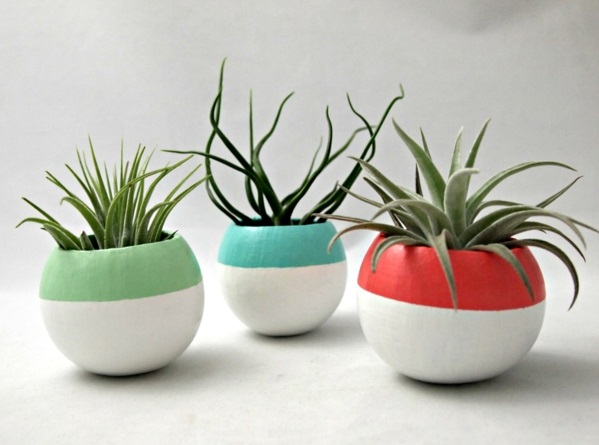 plante minimalistisk struktur bilder designer potter