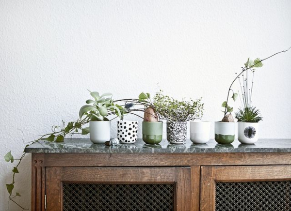 Vihreät kasvit kuvat ruukkukasveja huoneen pöydän