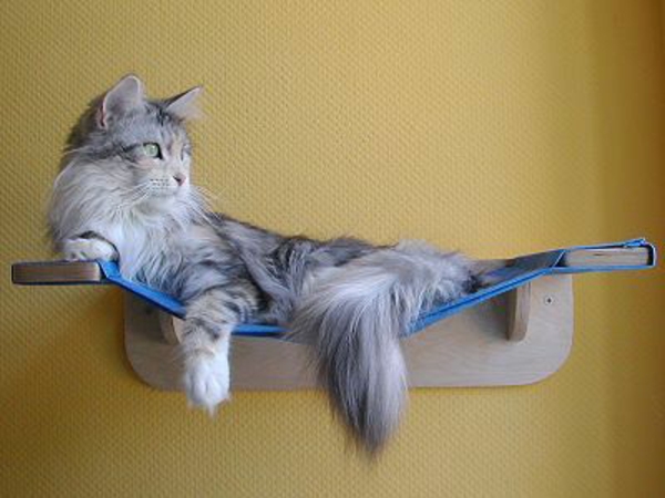 frame hout met standaard hangmat zelf maken huisdieren katten