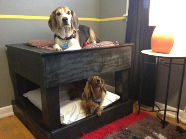 Κρεβάτια σκυλιών κουκέτα ξύλινες γάτες καναπέδες κατοικίδια ζώα υψηλό κρεβάτι