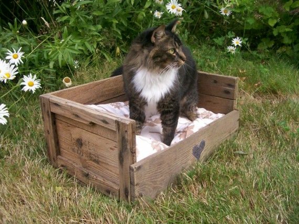 cat κρεβάτι ξύλινες γάτες καναπέδες κατοικίδια ζώα κήπο