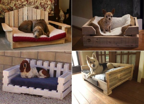 Σκύλοι κρεβάτια ξύλινες γάτες καναπέδες κατοικίδια ζώα μικρά