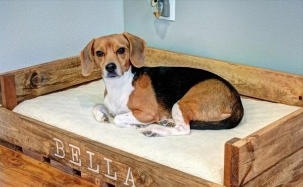 Σκύλος Κρεβάτια στρώμα ξύλινες γάτες καναπέδες κατοικίδια ζώα πλαίσιο