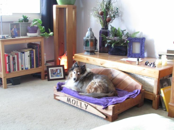 Σκύλοι κρεβάτια γάτες καναπέδες κατοικίδια ζώα