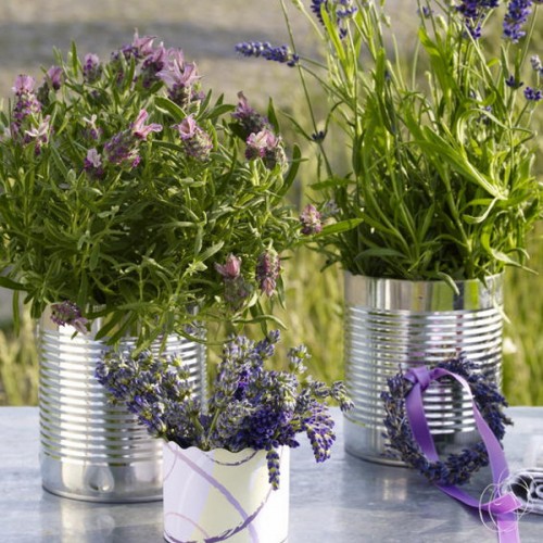 Ideas house decoration with lavender flower pots table garden