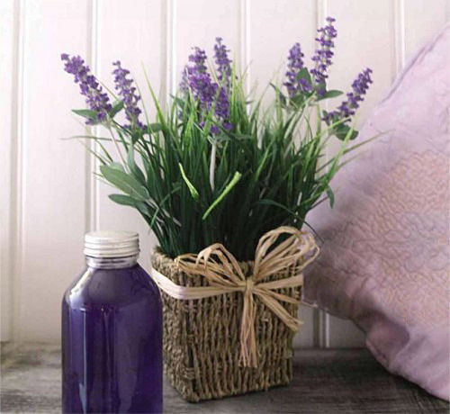 Ideas house decoration lavender flowerpot bedroom bottle