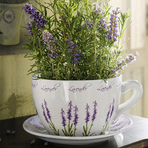 Ideas house decoration with lavender cup flowerpot design
