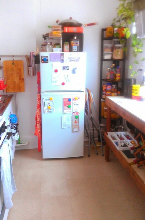 小巧的厨房装饰传统的冰箱架
